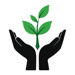 Obraz premium Black Hands Holding Green Plant Sprout growth