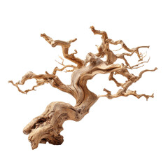 Gnarled twisted tree branch png wood png natural png rustic png forest png nature png driftwood png texture png brown png plant png transparent background image
