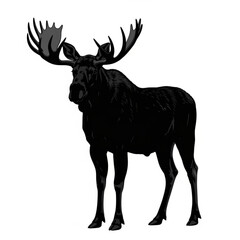 Obraz premium Black moose silhouette with large antlers isolated on white background silhouette