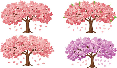 Obraz premium Cherry Blossom Tree Vector Set – Stylized Spring Trees with Pink and Purple Flowers, Petal Fall, Seasonal Nature Art, and Botanical Design