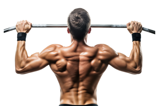 Close-up of a man's muscular back while doing a pull-up