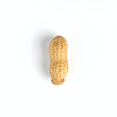 Overhead Studio Macro of Small Peanut Pod with Stem Base on White
