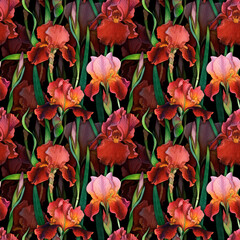 Seamless Floral Pattern with Deep Red and Pink Irises