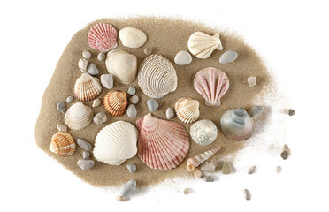 Sea shells in sand pile isolated on white background, top view	