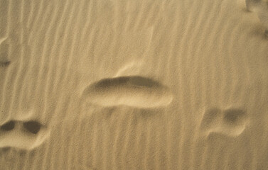 footprints in sand