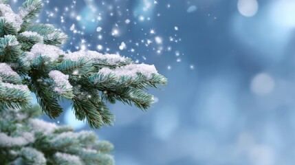 Snow-covered pine branches with falling sparkles in winter wonderland scene