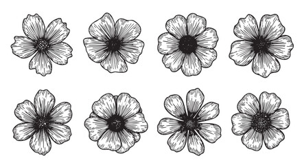 Black outline sketches of eight distinct flowers, each with unique petal arrangements and central details, displayed in two rows.