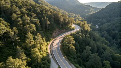 Serpentine mountain road winding through a lush green forest bathed in golden hour sunlight