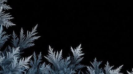 Frost crystals forming intricate patterns on a black background