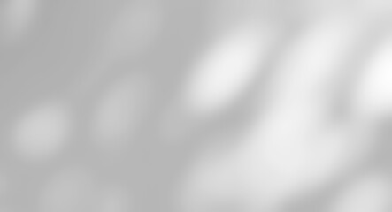 Shadow of leaves tree plant overlay on white wall. Sunlight effect shadow on the wall. Minimal blurred backdrop backgrounds. Summer tropical surface background.