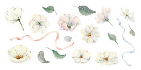 Botanical set white flowers Watercolor isolated background. Hand painted illustrations of white cosmos, peonies and anemones with delicate foliage, satin ribbons. Monochrome neutral blooms clipart.