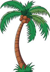Tropical Palm Tree