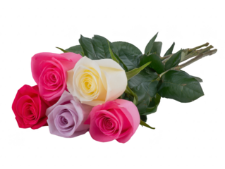 Five colorful roses with green leaves including pink white purple and red arranged in bouquet symbolizing love and celebration isolated on transparency background