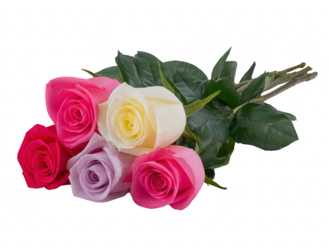 Five colorful roses with green leaves including pink white purple and red arranged in bouquet symbolizing love and celebration isolated on transparency background - Powered by Adobe