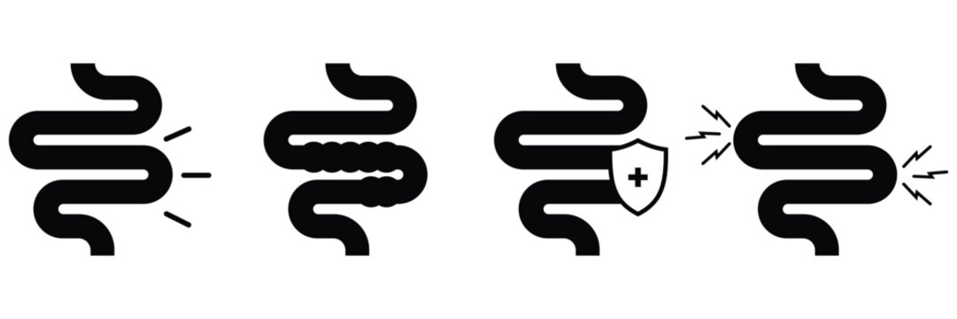 Human Intestine and Stomach Icon Set &ndash; Gastroenterology and Digestive System Medical Vector
 Illustration