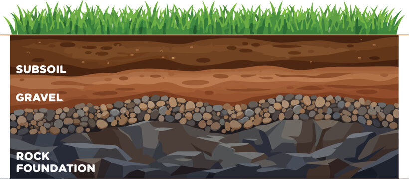 Soil Layers and Ground Cross Section with Grass, Topsoil, Subsoil, and Rock Foundation Vector Illustration, Earth Structure Diagram for Landscape, Geology, and Environmental Design