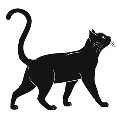 Obraz premium Black cat feline vector illustration design domestic animals shadow pet design