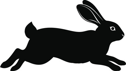vector illustration of a rabbit