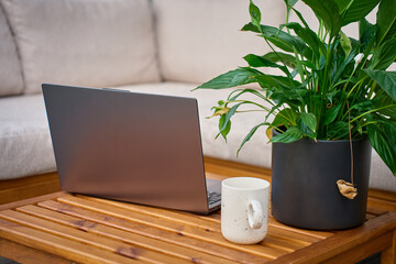 Laptop, white coffee cup and green potted plant on wooden terrace table. Concept of remote work, home office and digital lifestyle