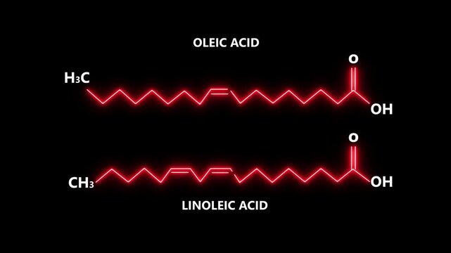 Oleic Acid and Linoleic Acid Chemical Structures on black Background.
