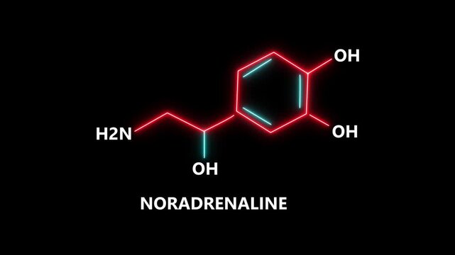 Noradrenaline, Nora, Norad Chemical Formula and Molecule Structure