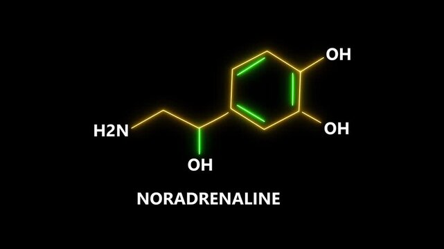 Noradrenaline, Nora, Norad Chemical Formula and Molecule Structure