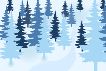 Winter Pine Forest Landscape