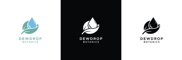 Three logo variations for Dewdrop Creative featuring a leaf and droplet motif in black, white, and teal colors.
