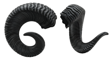 A striking pair of dark, ridged, and curled demonic ram horns isolated on a white studio background