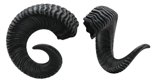 A striking pair of dark, ridged, and curled demonic ram horns isolated on a white studio background