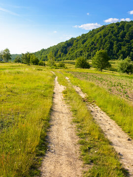 dirt road through field in mountains. beautiful rural landscape of ukraine in summer. scenic view of a countryside green environment under blue sky with clouds in evening light. forest on the hill