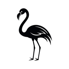 Flamingo Silhouette Vector Design