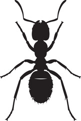 Black Silhouette of an Ant Insect on White Background vector illustration on transparent background