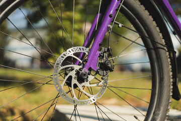 Close-up view of a bicycle front wheel featuring a disc brake system, showing rotor, caliper, spokes, and tire in an outdoor setting.