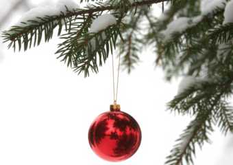 Red bauble on green christmas fir tree
