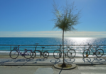 Ligurian Sea coast near Monterosso al Mare in Italy