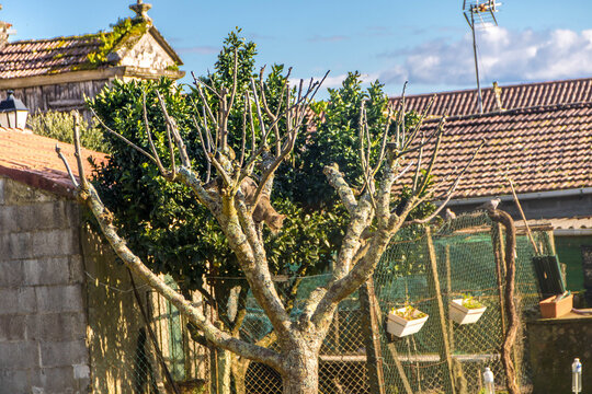 the historic fishing village of Combarro in R&iacute;as Baixas