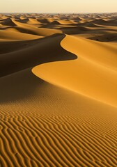 Sweeping golden desert landscape with endless rolling sand formations, bathed in warm sunlight, creating a serene and timeless vista ,environment ,adventure ,nature