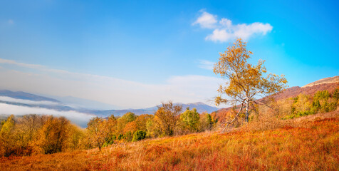 Fototapeta premium autumn in the mountains