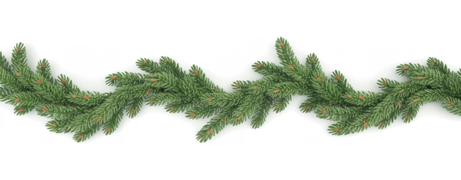 Green pine twigs in a Christmas garland isolated on transparent background
