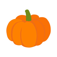 Pumpkin hand drawn doodle illustration on white background. Healthy food. Flat vector design element