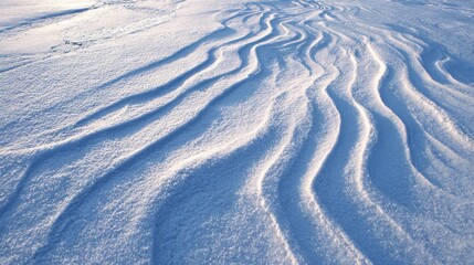 Soft ripples of snow stretch across a winter landscape, illuminated by the bright sun. The gentle curves create a calming and peaceful atmosphere in this snowy scene.