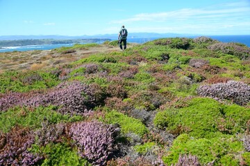 senderista en la costa con brezos