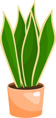 Snake Plant Illustration (Sansevieria)