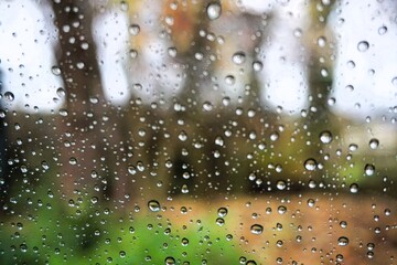 Abstraktes Landschaftspanorama mit Bäume auf grüner Wiese mit orangenem Laub vor weißem Himmel mit Licht in der Natur bei Regen und Sturm am Nachmittag im Herbst