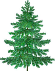 Fototapeta premium Illustration of a coniferous fir tree for a Christmas tree
