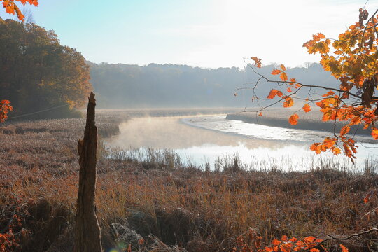 Creek flowing through a misty wetland at dawn in autumn