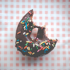 Half-Eaten Chocolate Donut
