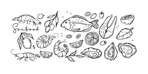 Seafood Mediterranean cuisine. Hand drawn doodle sketch. Fish, lemon, herbs, olives, oysters, shrimps. Overhead view ingredients For advertising, packaging, menu, cafe, restaurant, poster, sticker. 