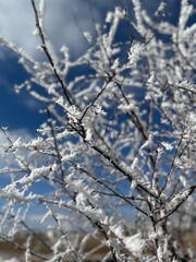 ice crystals